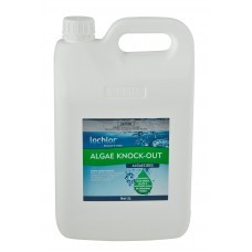 Algae Knockout