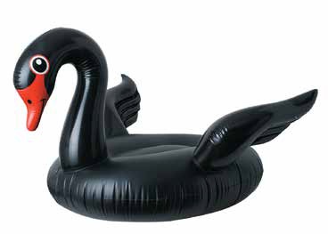 Black Swan Ride On